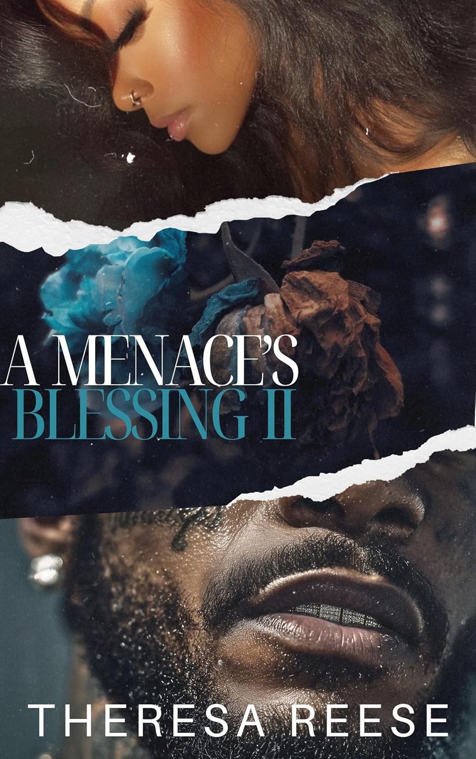 A Menace's Blessing II