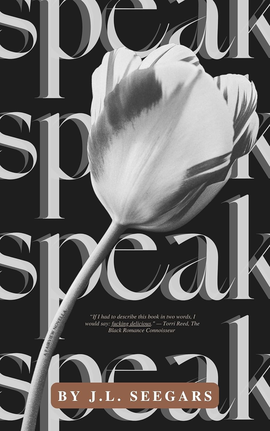 Speak: A Post Divorce Romance