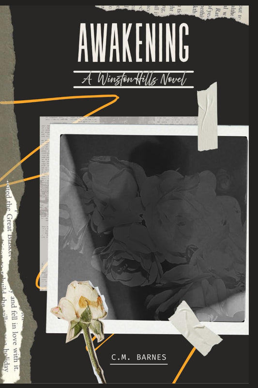AWAKENING: A Winston Hills Novel
