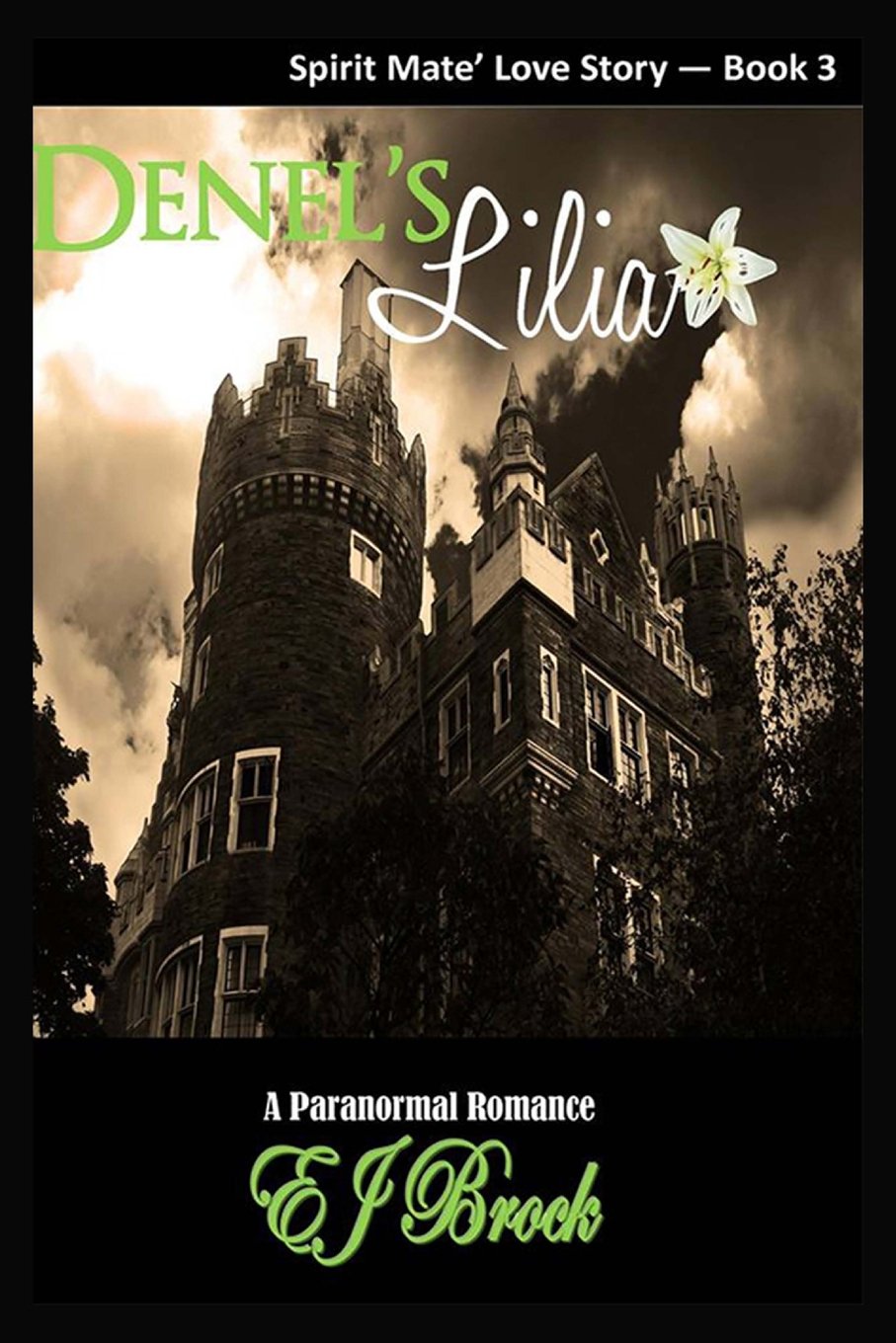 Denel's Lilia: A "Spirit" Mate Love Story Book 3